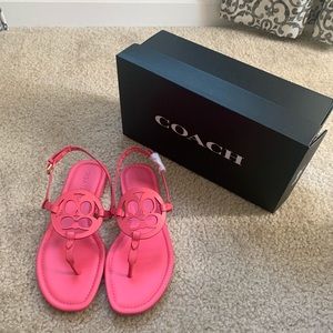 Coach jaci sandal in FUCHSIA - NWT
